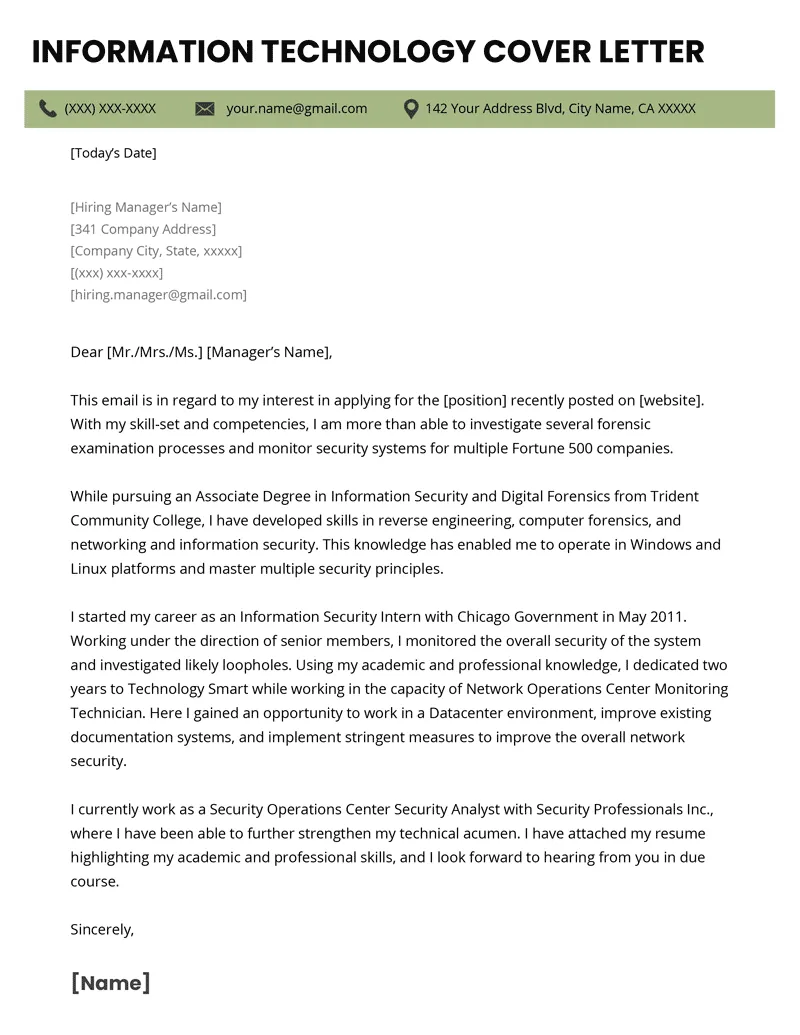 38908 it director skills